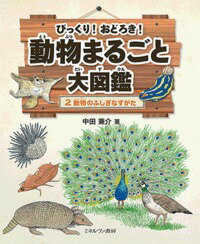 びっくり！ おどろき！ 動物まるごと大図鑑 中田兼介 ミネルヴァ書房ドウブツノフシギナスガタ ナカタ ケンスケ 発行年月：2016年10月10日 予約締切日：2016年10月09日 ページ数：40p サイズ：全集・双書 ISBN：97846...