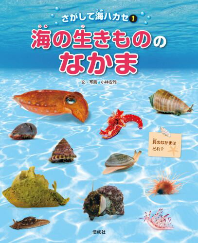 さがして海ハカセ（1）