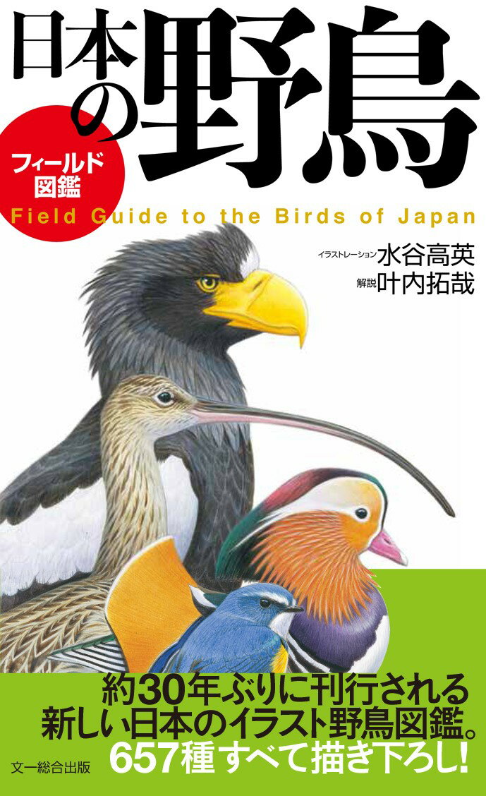 【謝恩価格本】フィールド図鑑　日本の野鳥
