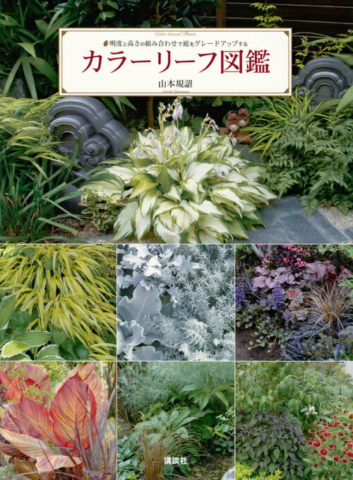 カラーリーフ図鑑 明度と高さの組み合わせで庭をグレードアップする [ 山本 規詔 ]