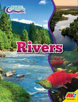 Rivers RIVERS （Aquatic Ecosystems） [ John Willis ]