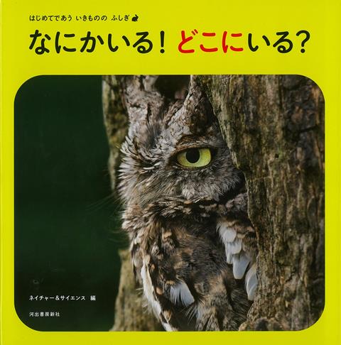 【バーゲン本】なにかいる！どこにいる？-はじめてであういきもののふしぎ