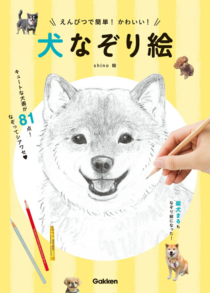 えんぴつで簡単！かわいい！　犬なぞり絵