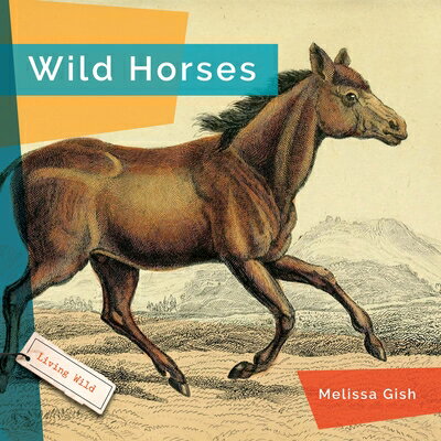 Wild Horses WILD HORSES （Living Wild） [ Melissa Gish ]