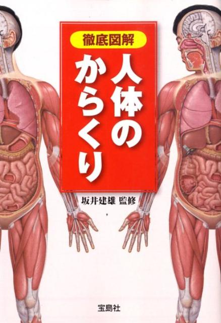 人体のからくり 徹底図解 （宝島社文庫） [ 坂井建雄 ]