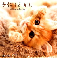 子猫もふもふカレンダー（2019）