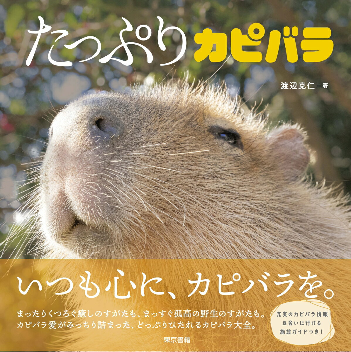 たっぷりカピバラ [ 渡辺 克仁 ]