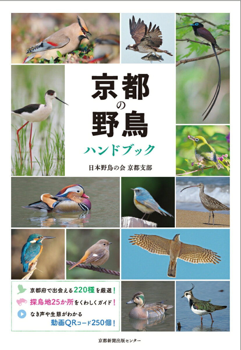 京都の野鳥ハンドブック 書影