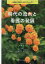 時代の流れと看護の発展