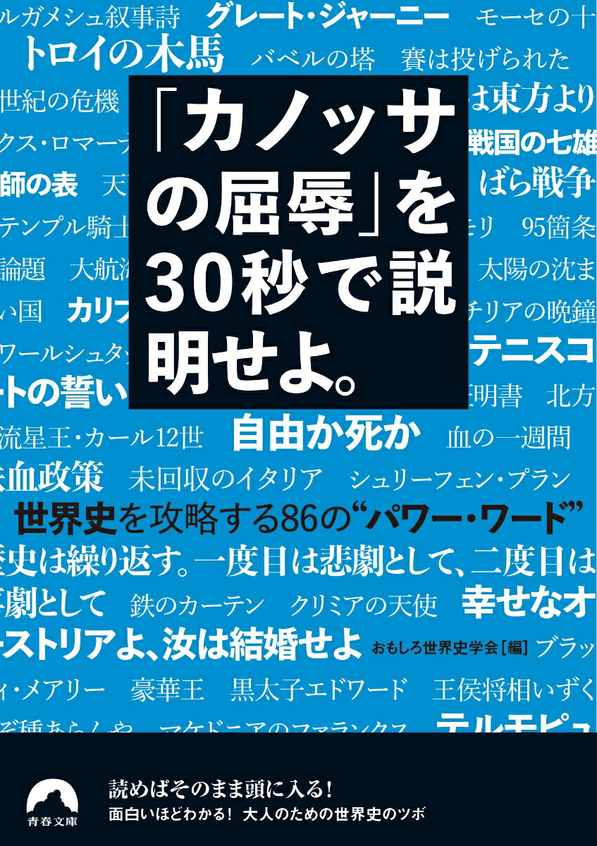「カノッサの屈辱」を 30秒で説明せよ。 (青...の紹介画像2