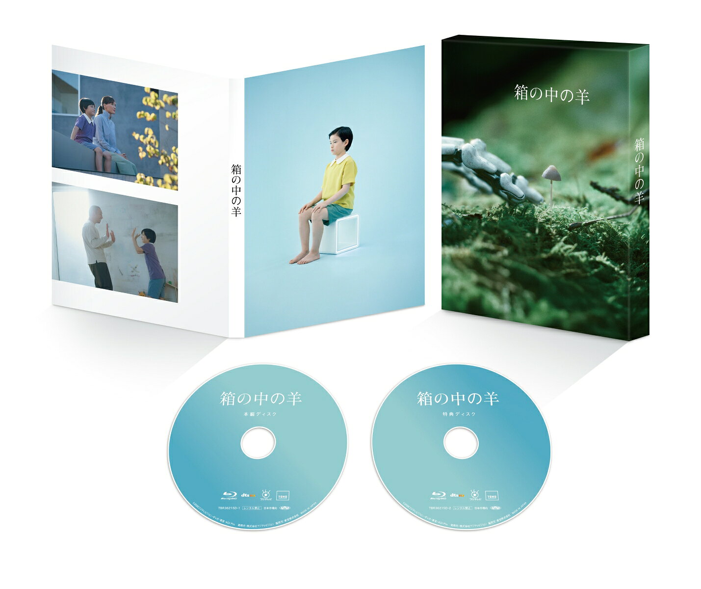 箱の中の羊 豪華版【Blu-ray】