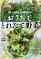 水だけで育てられて、ほぼ１年中、収穫できる！材料は１００円ショップでＯＫだから経済的！土を使わないから虫もわかない！お家のなかで、楽しく、美味しい野菜を育てよう！