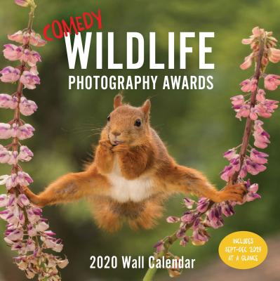 Comedy Wildlife 2020 Wall Calendar: (funny 2020 Wall Calendar, Funny Wall Calendar with Animals, Pho COMEDY WILDLIFE 2020 WALL CAL [ Chronicle Books ]