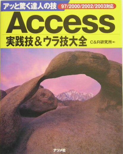 Access実践技＆ウラ技大全