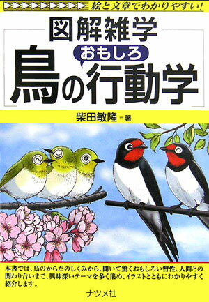 鳥のおもしろ行動学 図解雑学　絵と文章でわかりやすい！の表紙