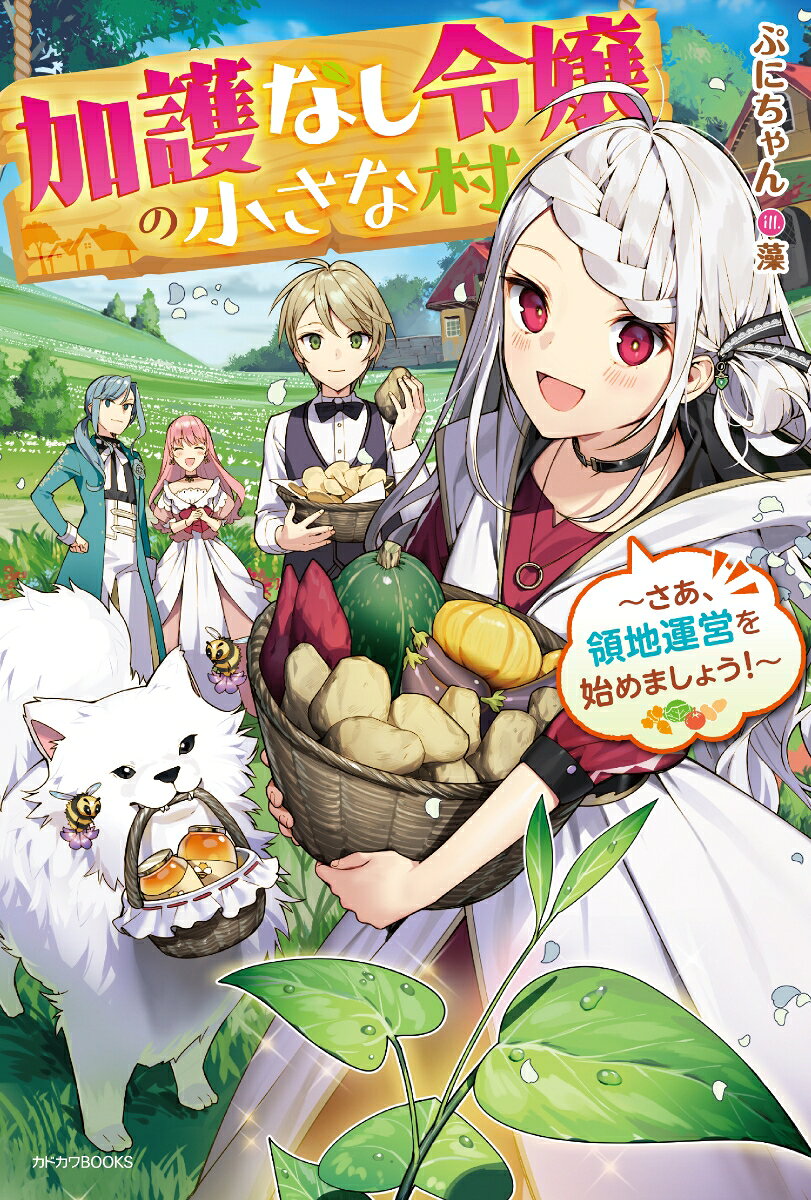 加護なし令嬢の小さな村 〜さあ、領地運営を始めましょう！〜（1）