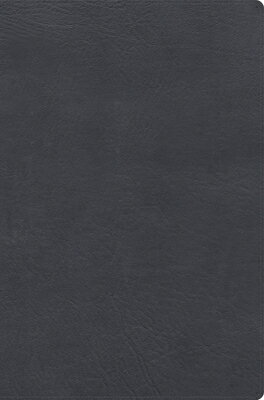 Rvr 1960 Biblia de Estudio Letra Gigante, Gris, Smil Piel Con ndice SPA-RVR 1960 BIBLIA DE ESTUDIO 