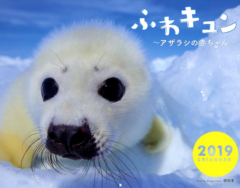 ふわキュン～アザラシの赤ちゃん～カレンダー（2019） （［カレンダー］）
