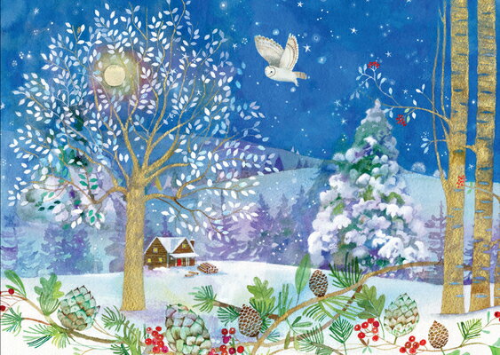 Winter Starlight Deluxe Boxed Holiday Cards (20 Cards, 21 Self-Sealing Envelopes) WINTER STARLIGHT DLX BOXED HOL 