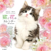 猫と花のカレンダー