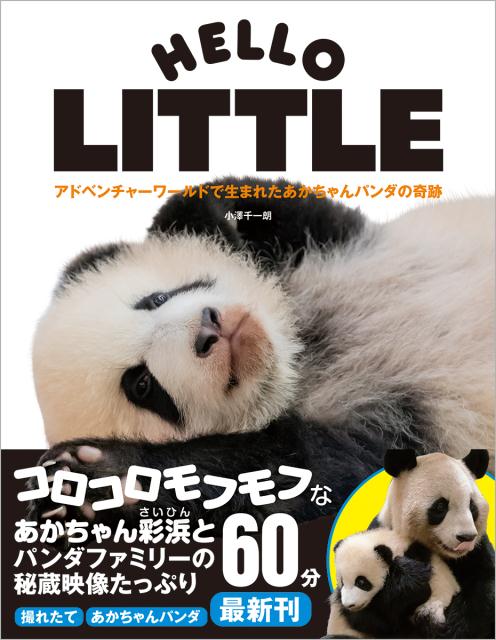 アドベンチャーワールドで生まれたあかちゃんパンダの奇跡 HELLO LITTLE 〈DVD付〉 [ 小澤千一朗 ]