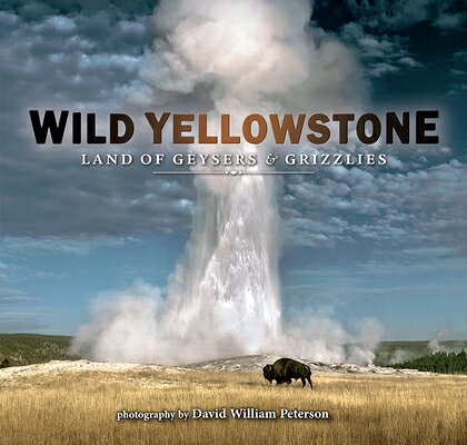 Wild Yellowstone: Land of Geysers and Grizzlies WILD YELLOWSTONE 