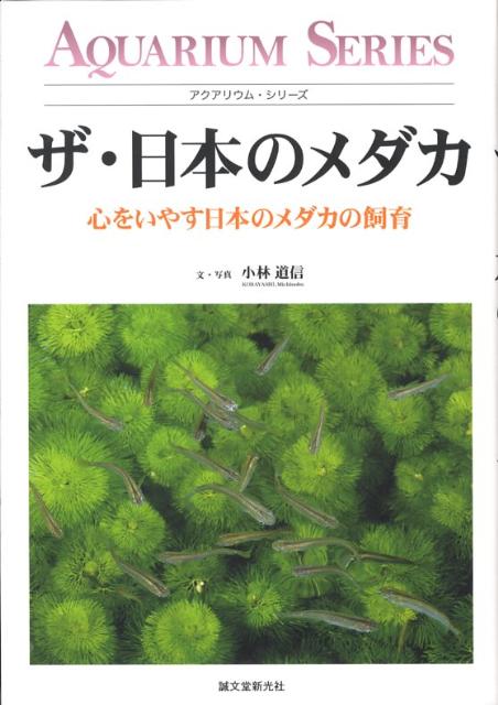 ザ・日本のメダカ