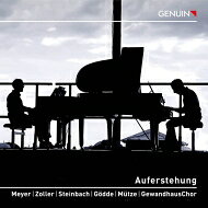 【輸入盤】交響曲第2番『復活』～ワルター編4手ピアノ版＋声楽＆トランペット　グレゴール・マイヤー、ヴァルター・ツォラー、ゲヴァントハウス合唱 [ マーラー（1860-1911） ] book-20926573 楽天ブックス サンプル画像3