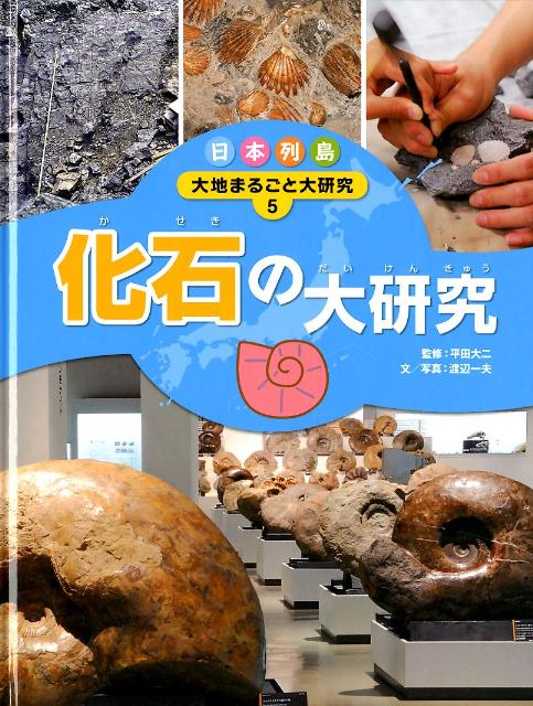 日本列島大地まるごと大研究（5） 化石の大研究のサムネイル