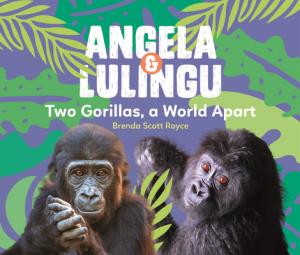 Angela & Lulingu: Two Gorillas, a World Apart LULINGU [ Brenda Scott Royce ]