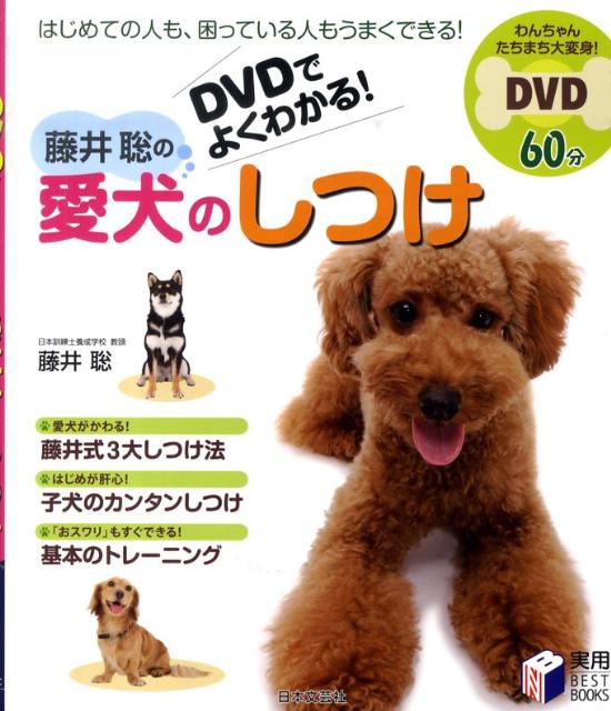 藤井聡の愛犬のしつけ DVDでよくわ