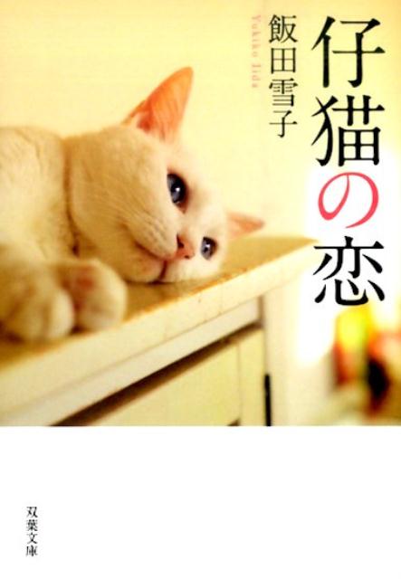 仔猫の恋