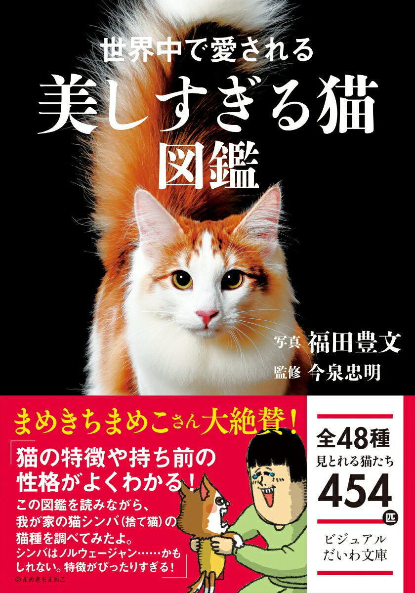 世界中で愛される美しすぎる猫図鑑 （だいわ文庫） [ 福田　豊文 ]