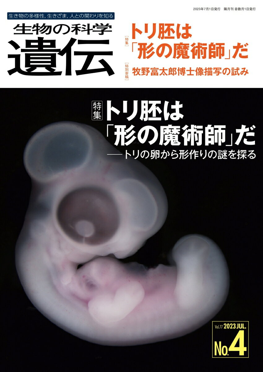 生物の科学　遺伝　2023年7月発行号（Vol.77-No.4） トリ胚は「形の魔術師」だ -トリの卵から形作りの謎を探る [ 公益財団法人遺伝学普及会 ]