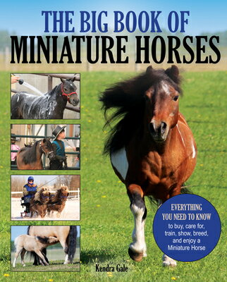 The Big Book of Miniature Horses: Everything You Need to Know to Buy, Care For, Train, Show, Breed,