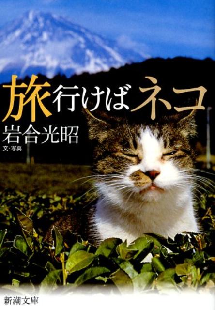 旅行けばネコ