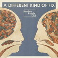 【輸入盤】A Different Kind Of Fix