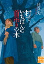 村でいちばんの首吊りの木 （実業之日本社文庫） [ 辻　真先 ]