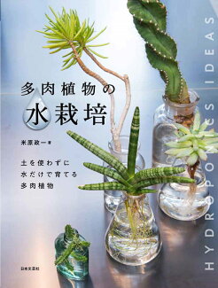 多肉植物の水栽培 土を使わずに水だけで育てる多肉植物の表紙
