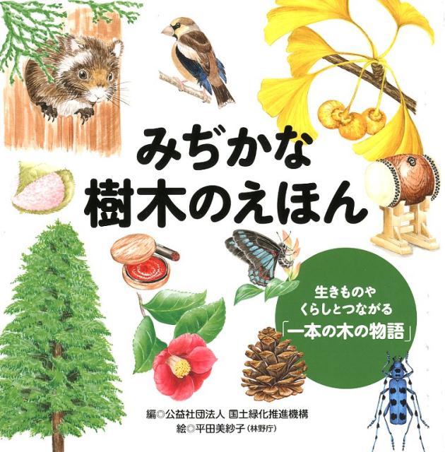 みぢかな樹木のえほん 生きものやくらしとつながる「一本の木の物語」 （単行本　223） 