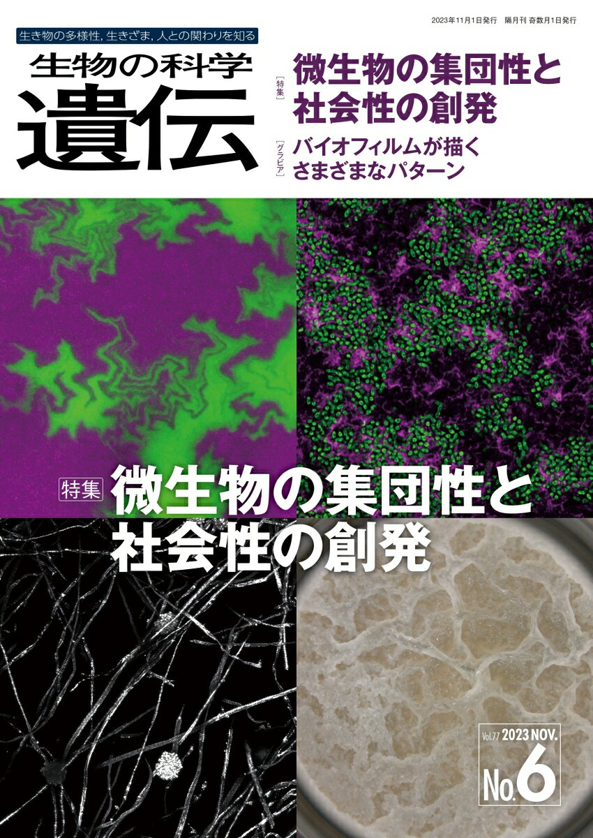 生物の科学 遺伝 2023年11月発行号（Vol.77-No.6）