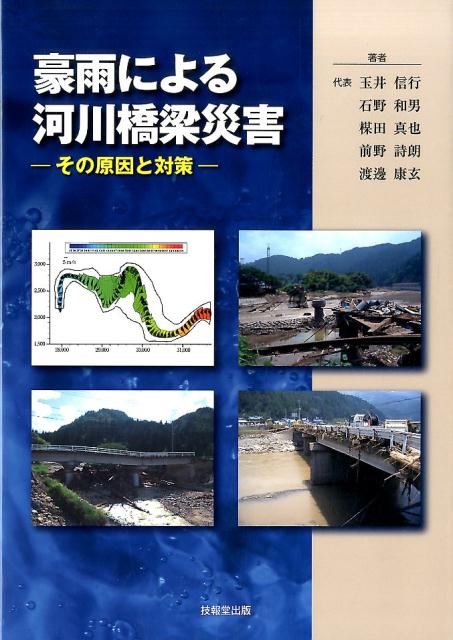 豪雨による河川橋梁災害 その原因と対策 [ 玉井信行 ]