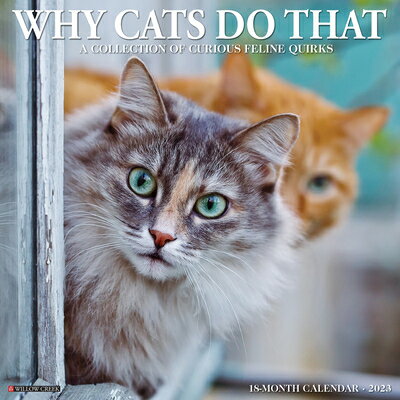 Why Cats Do That 2023 Wall Calendar WHY CATS DO THAT 2023 WALL CAL Willow Creek Press