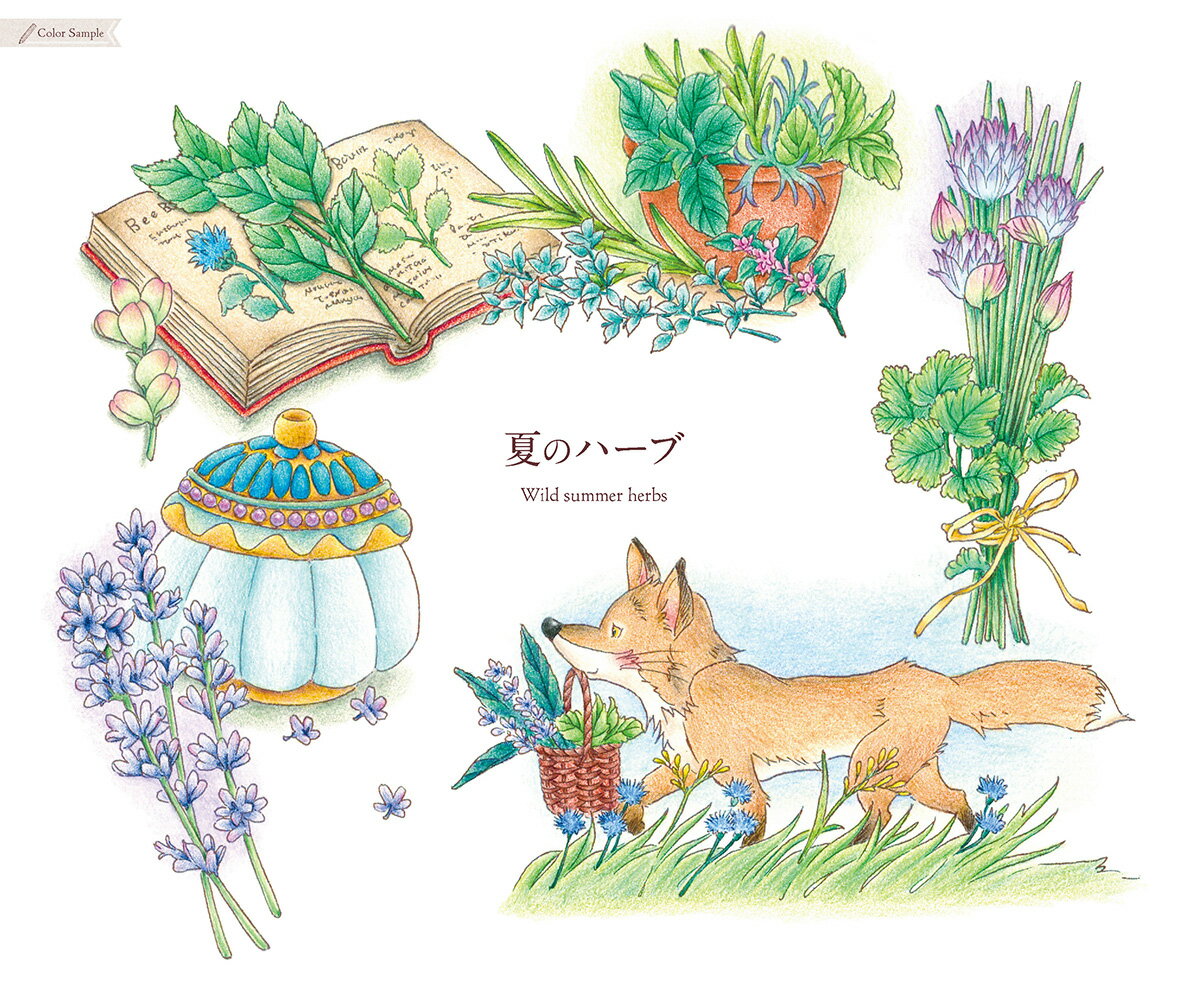 こだわり塗り絵シリーズ 季節のリース Seasonal Wreaths of plants and friends [ いなとめ まきこ ] 2