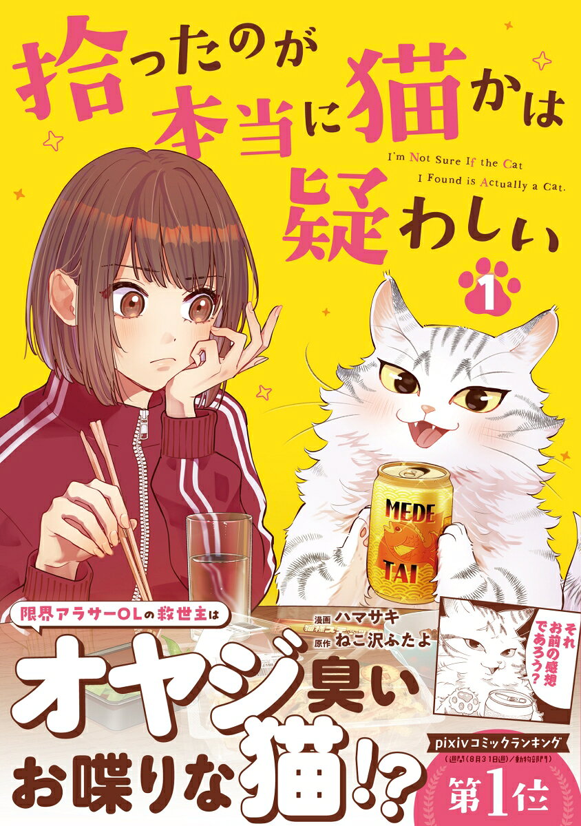 拾ったのが本当に猫かは疑わしい（1）