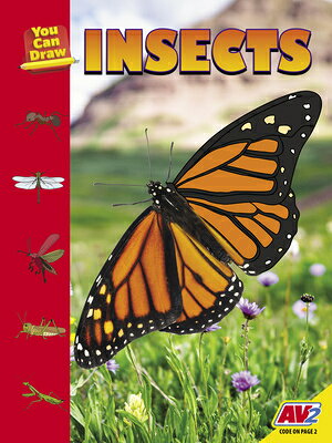 Insects INSECTS （You Can Draw） 