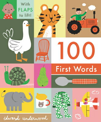 100 First Words 100 1ST WORDS-LIFT FLAP 100 First Words [ Edward Underwood ]