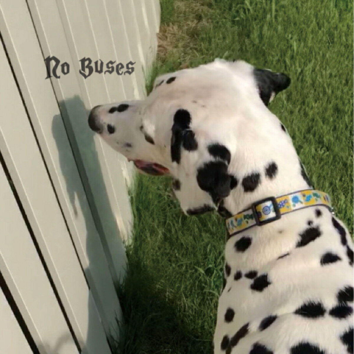 Boys Loved Her [ No Buses ]