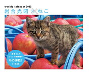 岩合光昭×ねこカレンダー（2022）