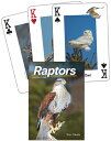 Raptors Playing Cards RAPTORS PLAYING CARDS (Nature's Wild Cards) [ Stan Tekiela...